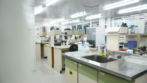 Foto Laboratório 2